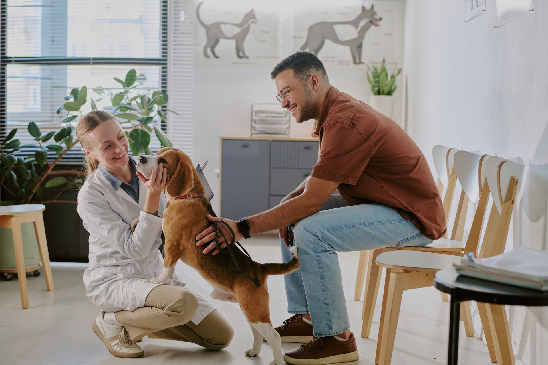 Smiling Veterinarian Examining Dog in Modern Clinic